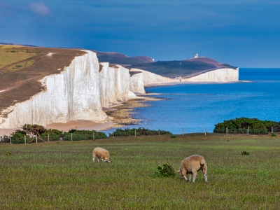 Retiring to East Sussex Article | My Future Living